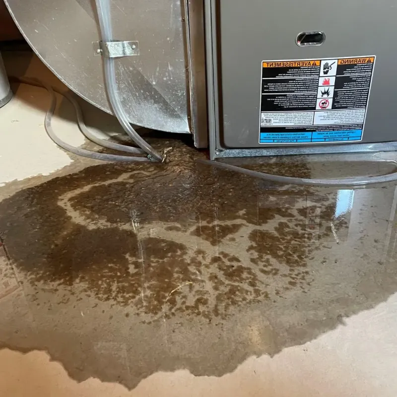 Pipe Burst and Leak Restoration in City and Borough of Wrangell, AK